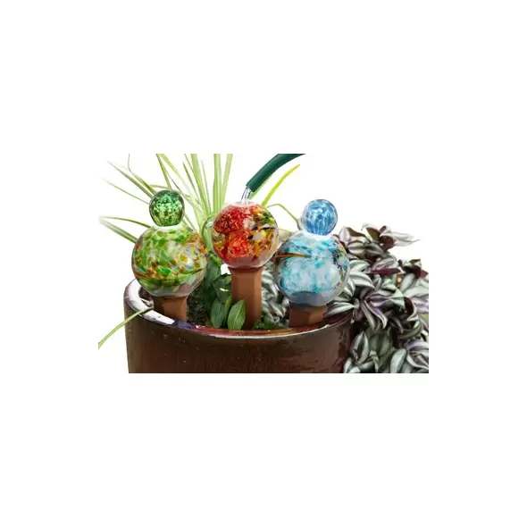 E-V 12pc Globe Plant Quencher Display Assortment