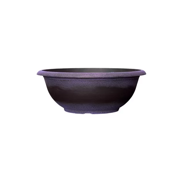 Grower Select 17.00 Sugar Sand Bowl Wisteria 3.3gal 50/CS - 16.9in OD X 6.3in H X 8.5in BD