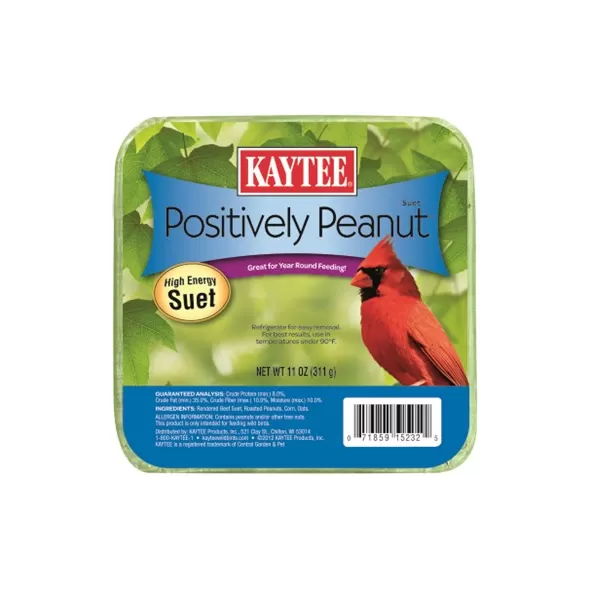 Kaytee 11oz Positively Peanut Suet