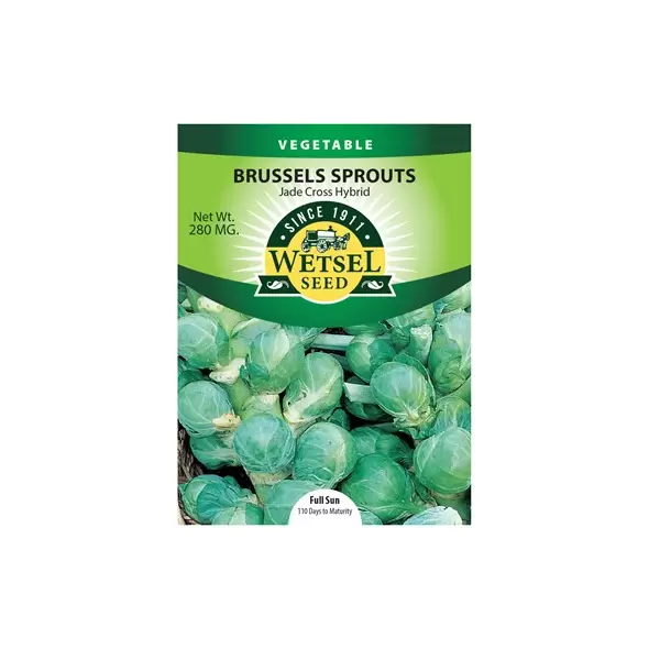 Brussel Sprouts, Jade Cross Hybrid - 280 Mg