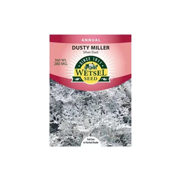 DUSTY MILLER,SILVERDUST 280 MG