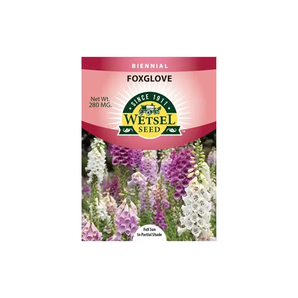 FOXGLOVE, FOXY ANNUAL 280 MG