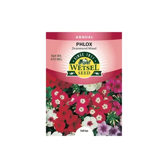 PHLOX, DRUMMONDI 470 MG