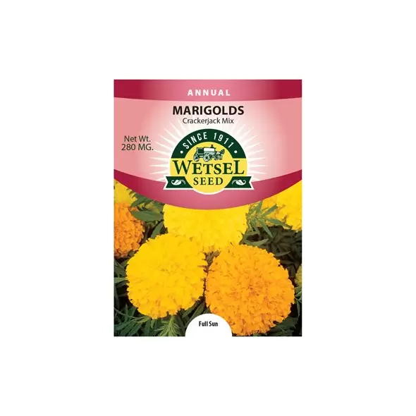 MARIGOLDS, CRACKERJACK MX 280 MG