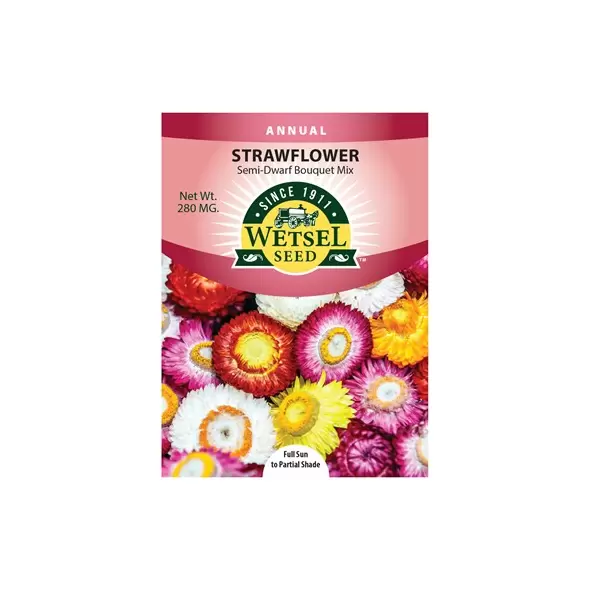 HELICHRYSUM,Strawflower SEMI-DWF Bouquet MX 280 MG