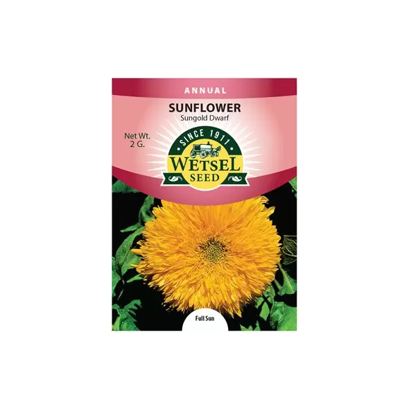 Sunflower, Sungold Dwarf - 2 Gram