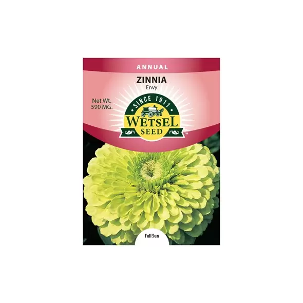 ZINNIA, ENVY 590 MG.