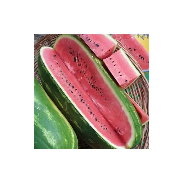 Watermelon, Jubilee - 1/2lb