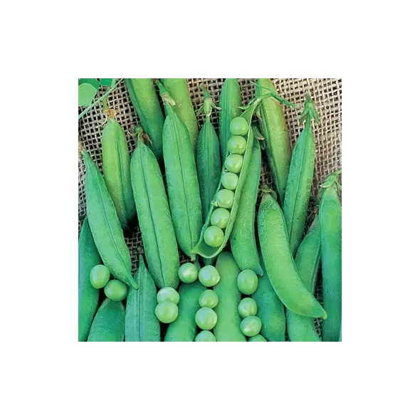 Peas, Lincoln Treated - 50lb