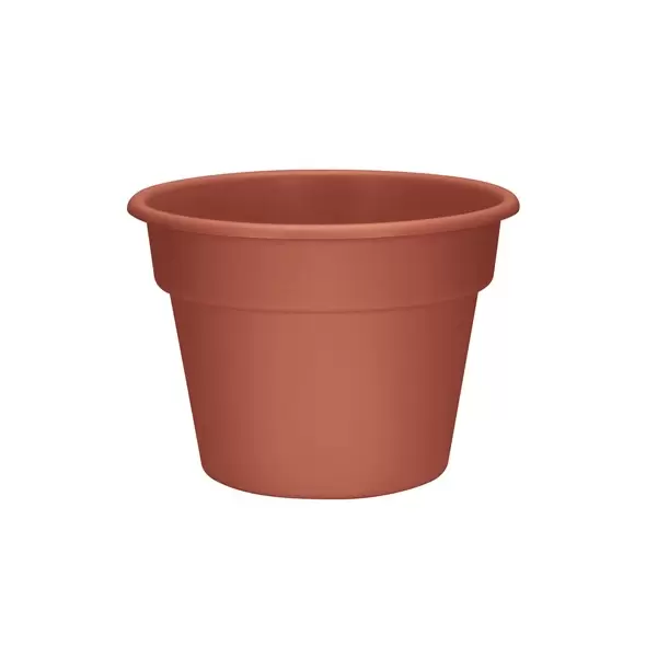 DLN 14.00 COLOR POT CL 20/CS 36CS/PL