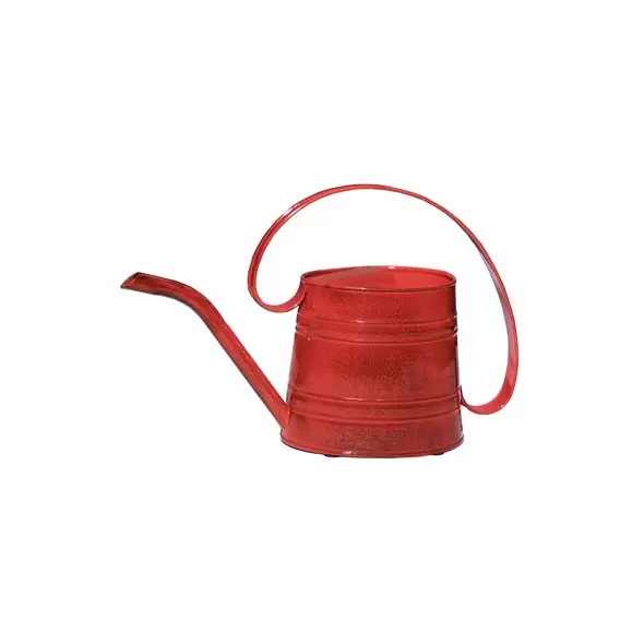Robert Allen 1/2gal Danbury Watering Can Cayenne