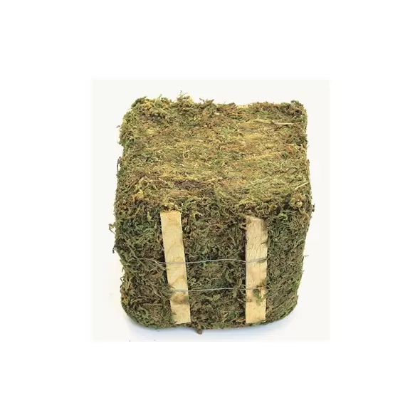SuperMoss 1.5