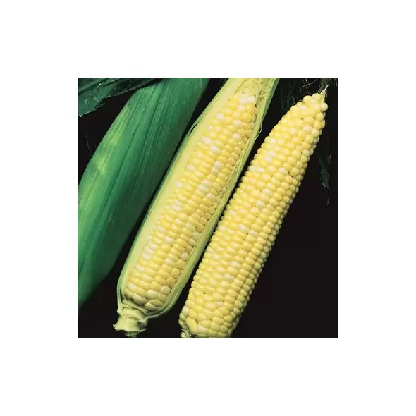 Corn, Temptation - 1/2lb