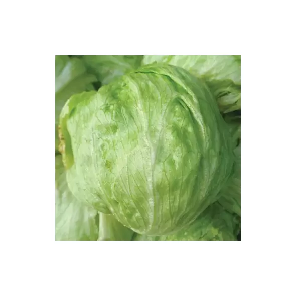 LETTUCE, ICEBERG - 1/2 OZ EACH