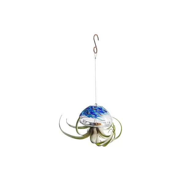 APM Air Plant Jellyfish Large Clear Blue