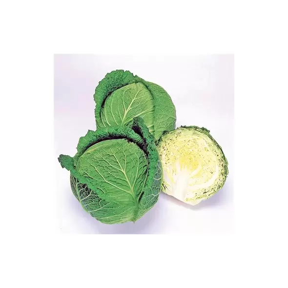 Cabbage, Savoy Ace Imp 5,000 Seed Count