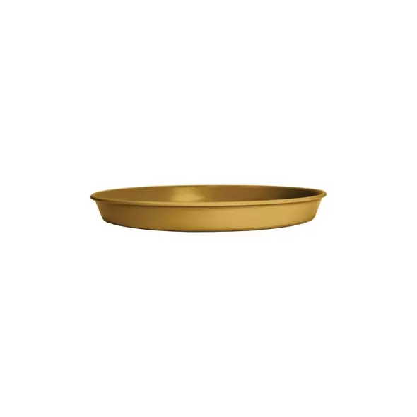 HC 10" Prima Saucer in Honey