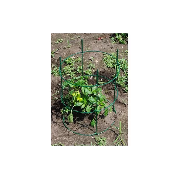 Cassie Cages 24" Tomato Corral Ext Green