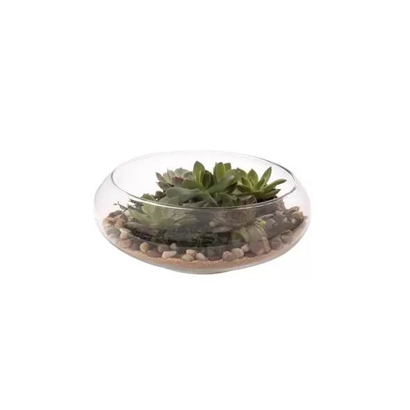 Panacea 10"D Glass Flat Terrariium Tabletop Bowl Planter With Metal Stand