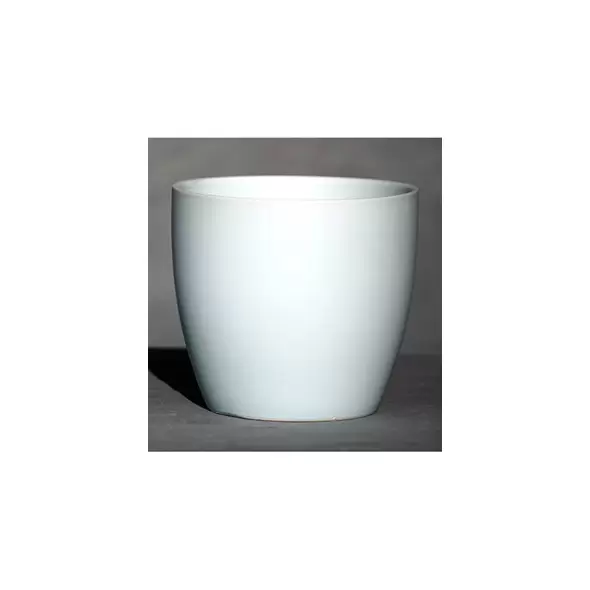 Palm Spring 6.5" Pc Lily Cache MLB