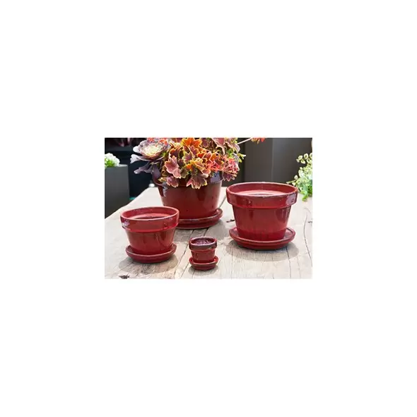 Verandah 5.5x4.5 with Saucer Trph Red