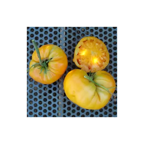 Tomato, Kellogg's Breakfast - 10,000 Seed Count