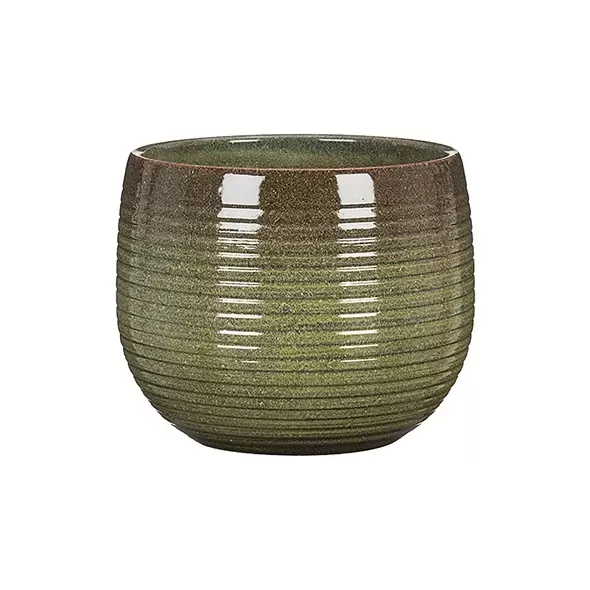 Scheurich 7" Wild Jungle 744/18 Planter