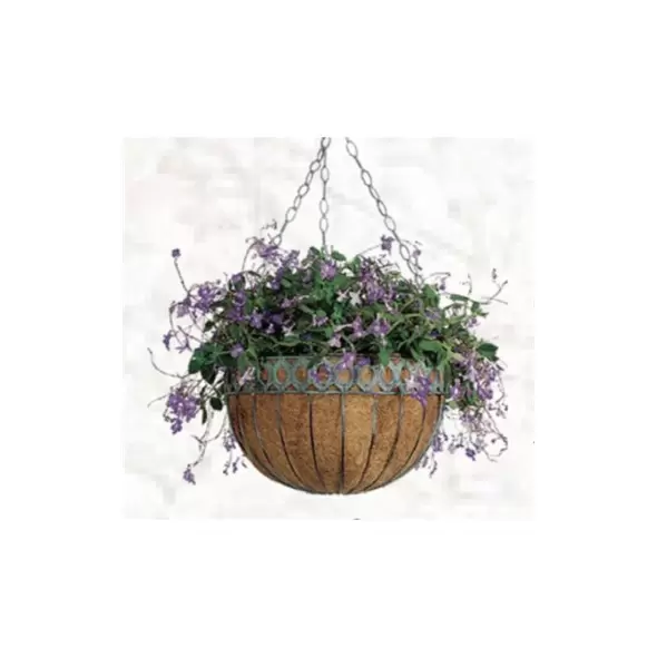 Austram 16" Queen Anne Round Hanging Green