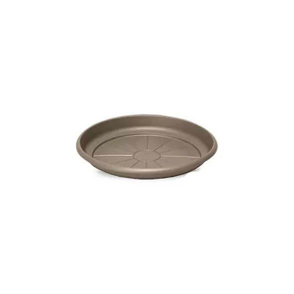 Crescent 7" Emma Saucer Cappuccino