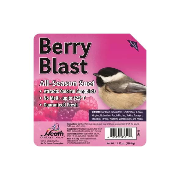 Heath 11.25oz Berry Blast All-Season High Energy Suet Cake