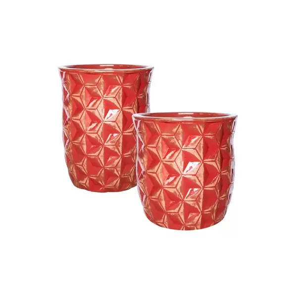 MCarr 30pc Tall Hexagon Planter Pallet Scraped Red