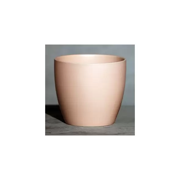 Palm Spring 7.5" Pc Lily Cache MPK