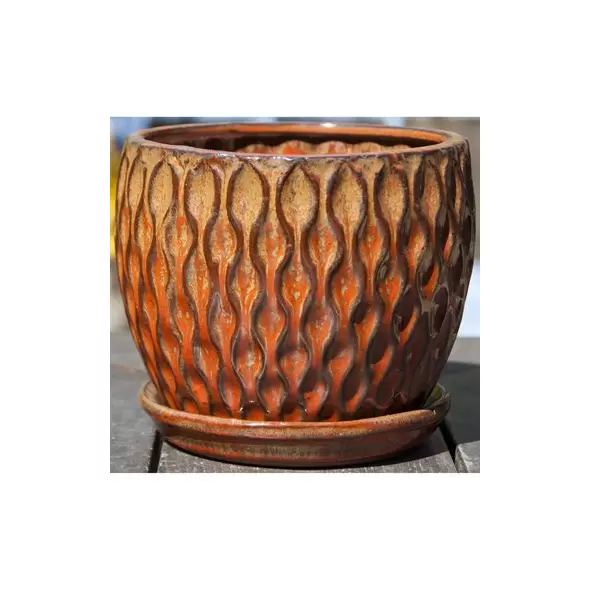 Verandah 5.5x5 Oak Wd Sdn