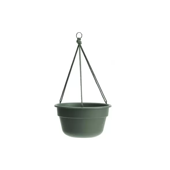 Bloem 12" Durcotta Basil Hanging Basket