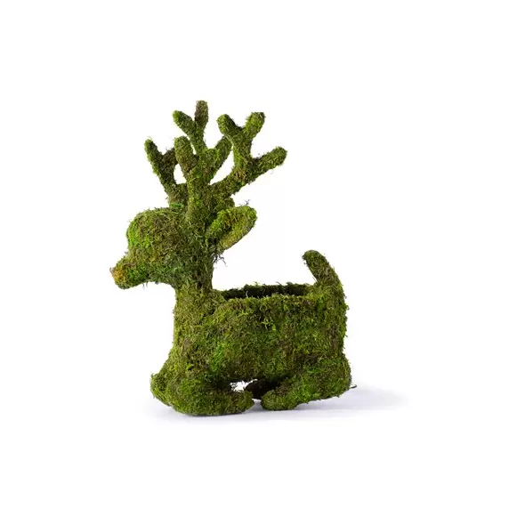 SuperMoss 4" Deco Sitting Reindeer