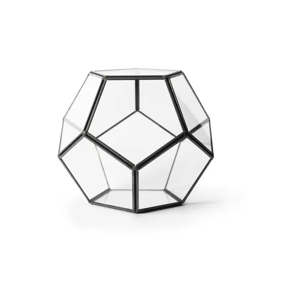 SuperMoss Glass Terrarium Dome