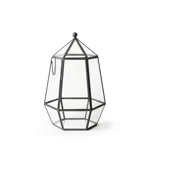 SuperMoss Glass Terrarium Atrium