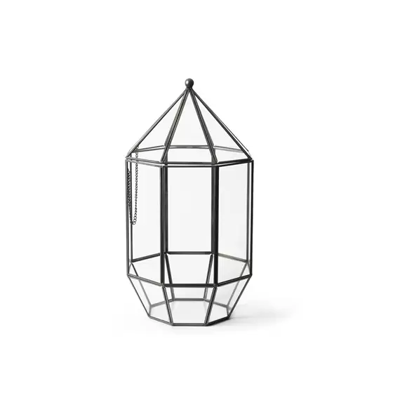 SuperMoss Glass Terrarium Greenhouse