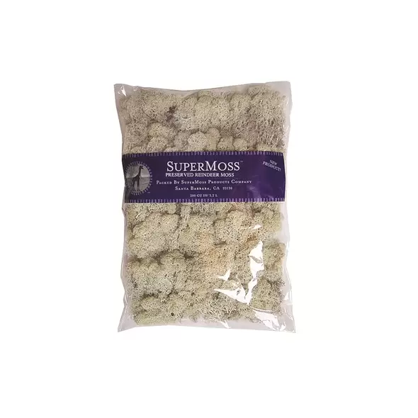 SuperMoss 8oz Reindeer Moss Natural