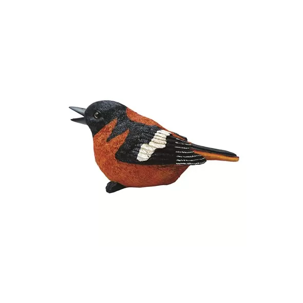 MCarr Oriole Chirper