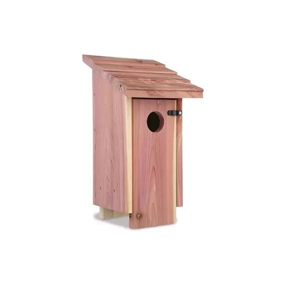 Penn Cedar Bluebird House