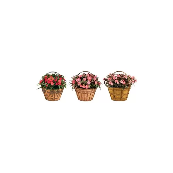 Deer Park Basket Variety Pk 2 Floral Daisy Ribbon Arch