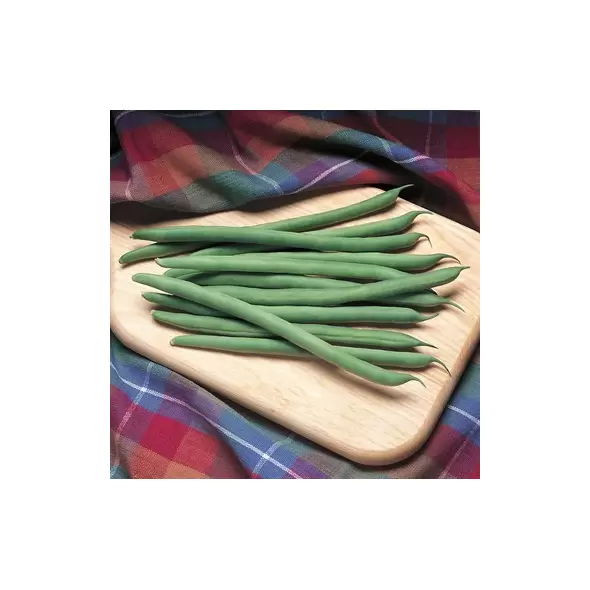 Beans, Kentucky Blue Pole - 50lb