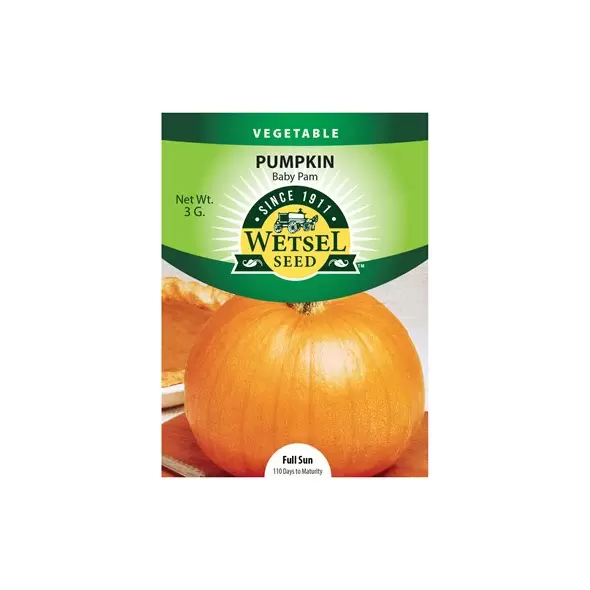 Pumpkin, Baby Pam - 3 Gram