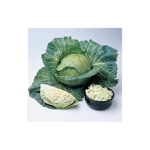 Cabbage, Wisconsin All Season - 1/2oz