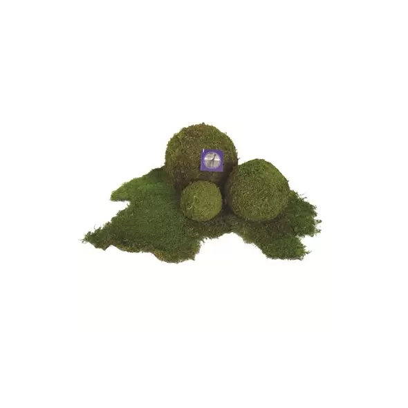 SuperMoss 4" Bulk Moss Ball