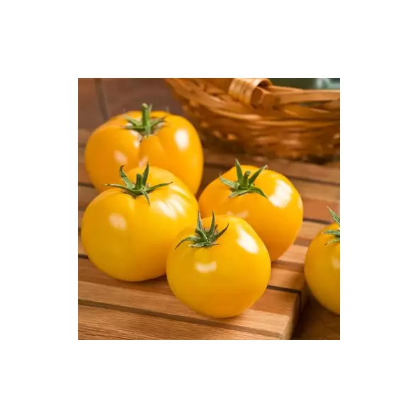 Tomato, Lemon Boy Untreated - 500 Sd Ct