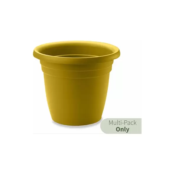 Crescent 10" Emma Planter Sun