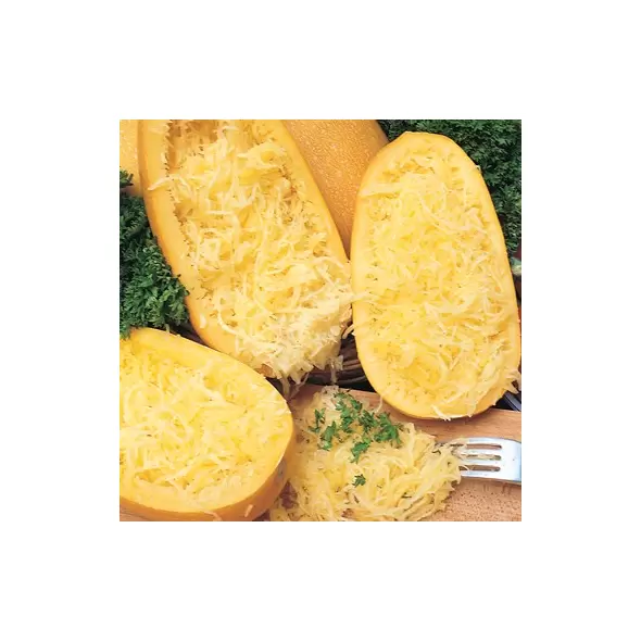 Squash, Vegetable Spaghetti - 5,000 Seed Count