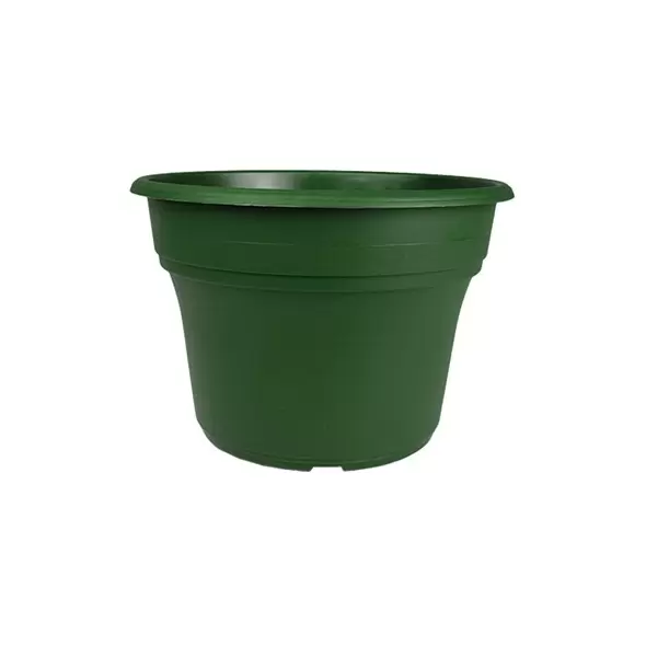 HC 8" Panterra Pot Green